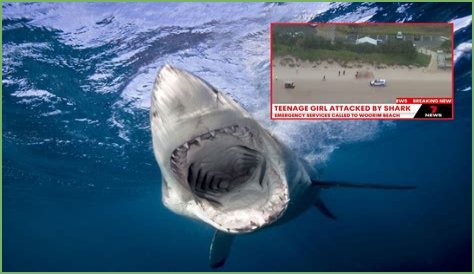 Vladimir Popov's Girlfriend Narrowly Escapes Tragic Shark Attack